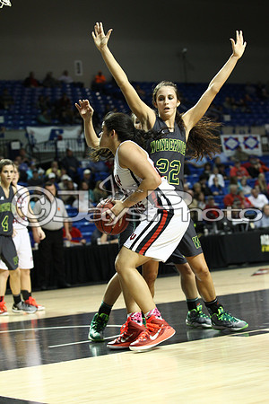 Nemo Vista vs. Wonderview 1A Girls State Finals 3-12-2015 (©Justin Manning) JWM_249
