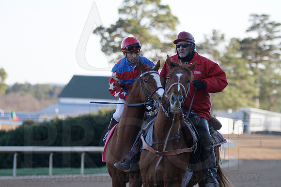 Oaklawn 1-21-13 (Smarty Jones Stakes) (Justin Manning)0190