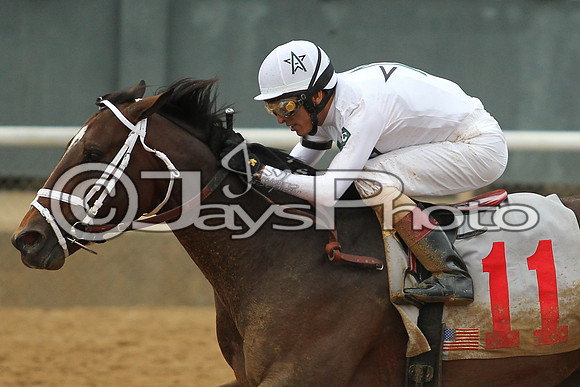 Southwest Stakes (GradeIII) 2-20-17_JWM00922