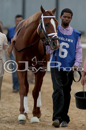 JWM_170318_RebelStakes_00591