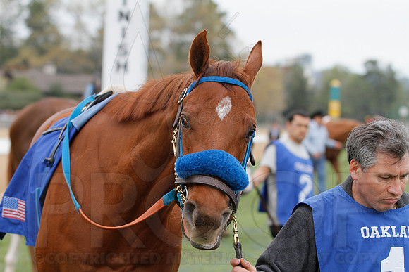 Fantasy Stakes 4-5-2014 (© Justin Manning) JWM_0568