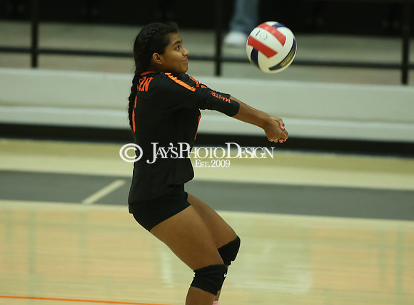 Camden Fairview @ Malvern JV_JWM_0050