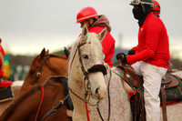 Oaklawn Smarty Jones Stakes 1-18-2016 (©Justin Manning) JWM_(0115