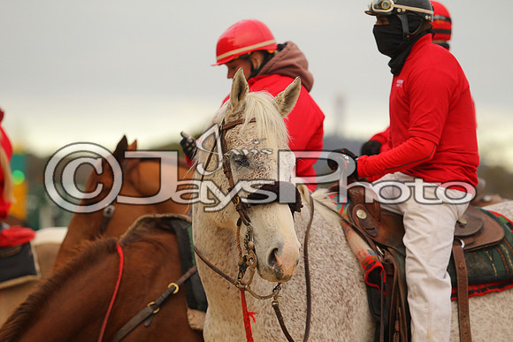 Oaklawn Smarty Jones Stakes 1-18-2016 (©Justin Manning) JWM_(0115