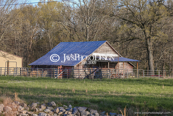 Barns 3-25-20_0025