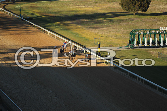 JWM_160215-southwest_0079