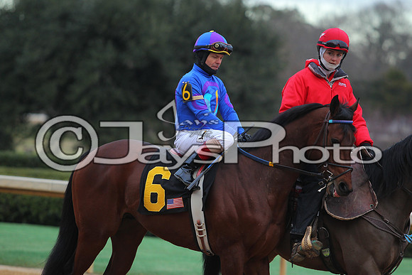 Oaklawn Smarty Jones Stakes 1-18-2016 (©Justin Manning) JWM_(0261