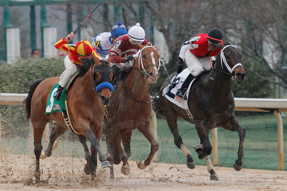 Rebel Stakes 3-15-14 3-15-2014 (© Justin Manning) JWM_0229