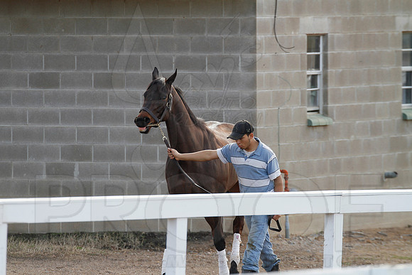 Oaklawn 1-11-13 (Justin Manning)0013