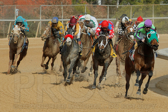 Southwest Stakes 2-17-2014 (© Justin Manning) JWM_0054
