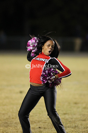 Valley View @ LR McClellan 11-9-18_JWM_0470
