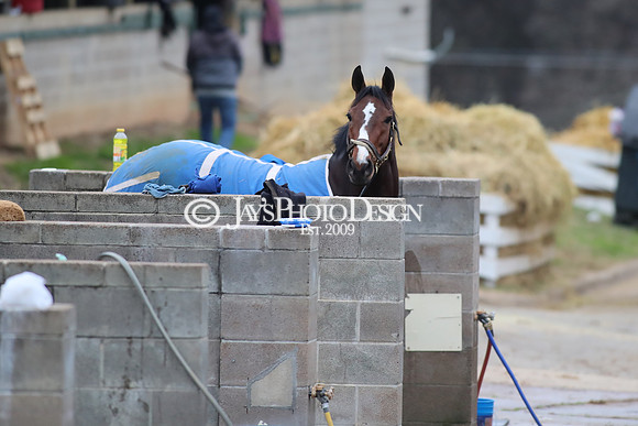 z250104_SmartyJonesStakesDay _JWM_0152