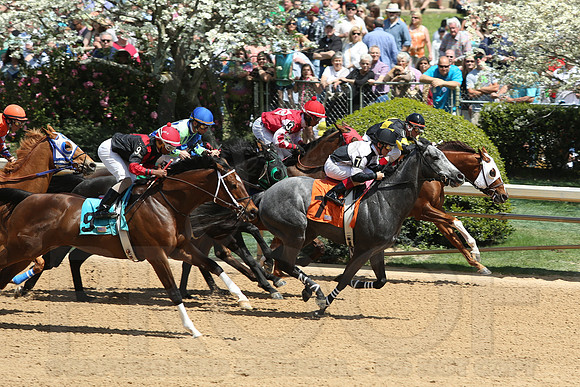 Arkansas Derby 4-12-2014 (© Justin Manning) JWM_0425