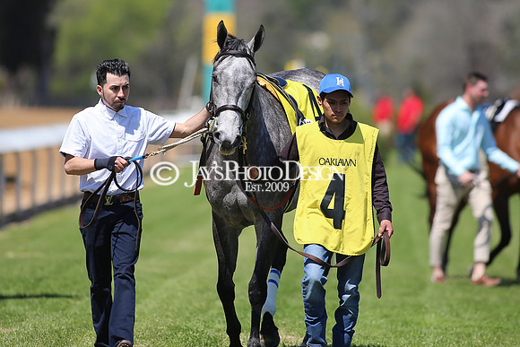 z220402_ArkansasDerbyday_Manning_JWM_0413