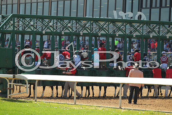 JWM_170318_RebelStakes_00059