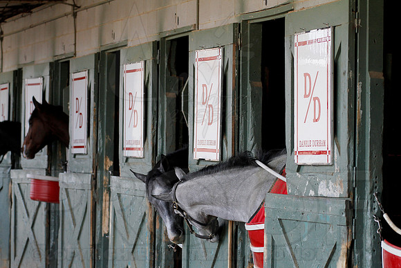 Oaklawn 1-11-13 (Justin Manning)0006