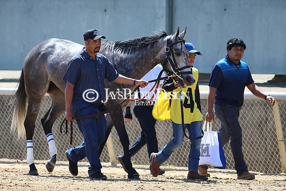 z220402_ArkansasDerbyday_Manning_JWM_0281