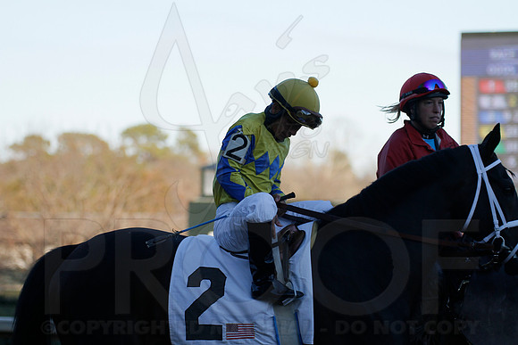 Oaklawn 1-21-13 (Smarty Jones Stakes) (Justin Manning)0163