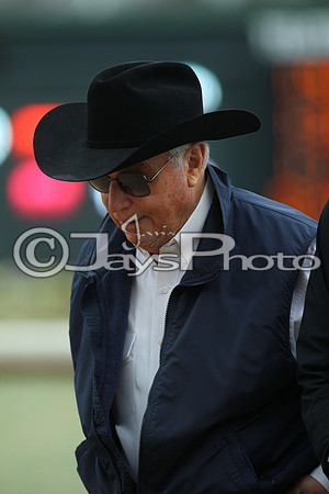 Southwest Stakes (GradeIII) 2-20-17_JWM00108