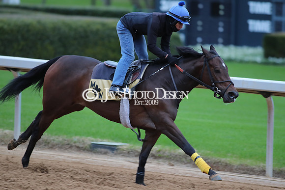 z250104_SmartyJonesStakesDay _JWM_0043