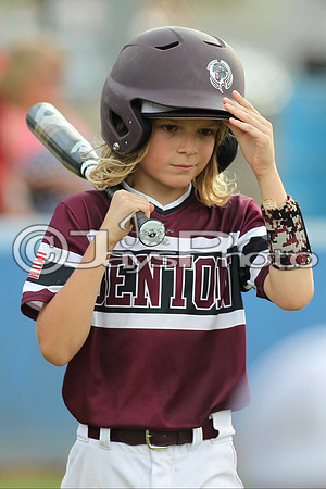 Benton vs. Clark County 6-27-16_JWM_0310