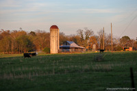 Barns 3-25-20_0118