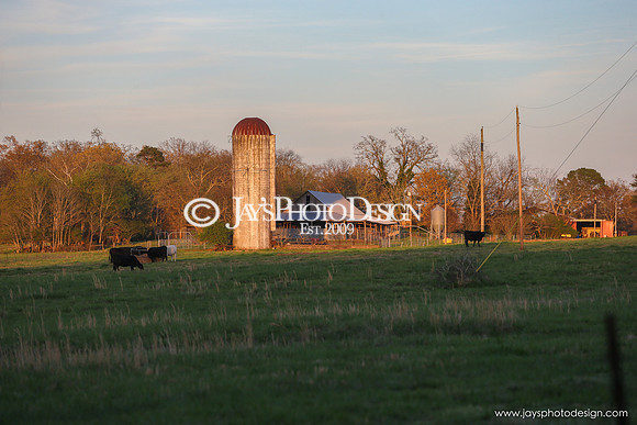 Barns 3-25-20_0118