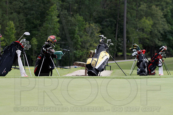 Cortez Golf Course (Hot Springs Village) 8-14-12 011(Justin Manning)