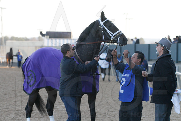 Oaklawn 1-21-13 (Smarty Jones Stakes) (Justin Manning)0065