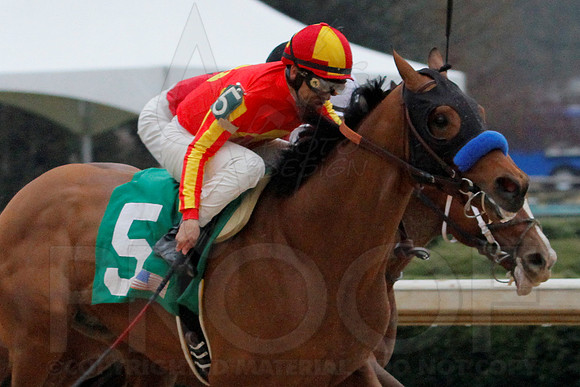 Rebel Stakes 3-15-14 3-15-2014 (© Justin Manning) JWM_0243