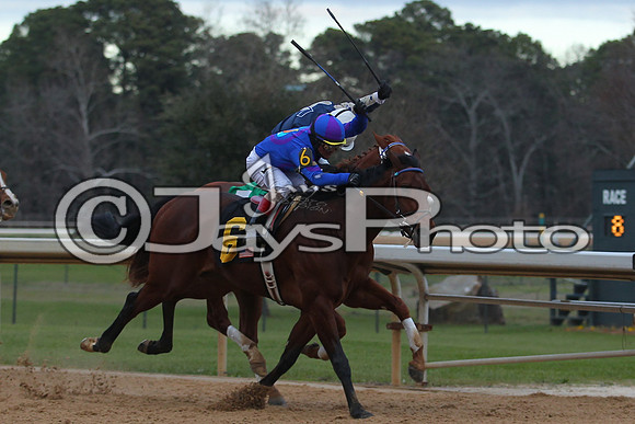 Oaklawn Smarty Jones Stakes 1-18-2016 (©Justin Manning) JWM_(0458