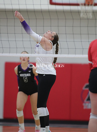 Harding Academy vs. Central Arkansas Christian (3A Volleyball South Regional Final) 10-24-24_JWM_0305