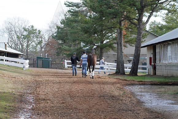 Oaklawn 1-11-13 (Justin Manning)0014
