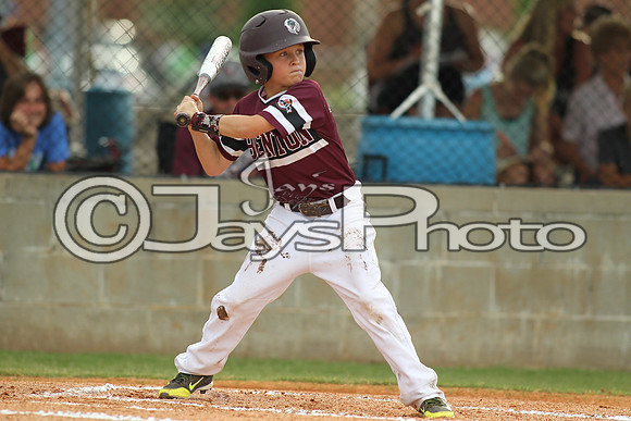 Benton vs. Clark County 6-27-16_JWM_0060
