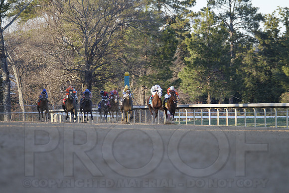 Oaklawn 1-21-13 (Smarty Jones Stakes) (Justin Manning)0215