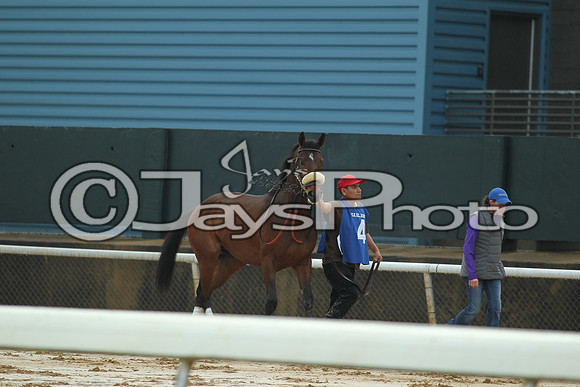 JWM_170116_SmartyJones_00355_manning