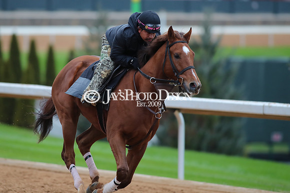 z250104_SmartyJonesStakesDay _JWM_0084