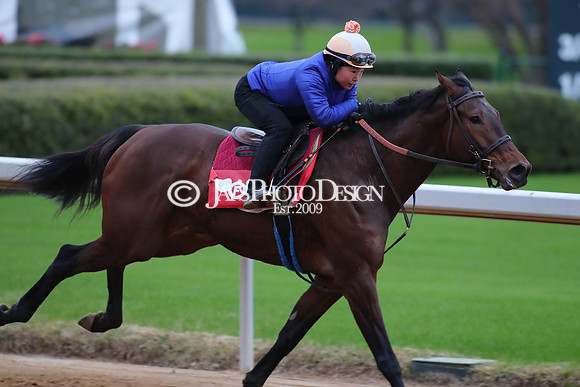 z250104_SmartyJonesStakesDay _JWM_0028