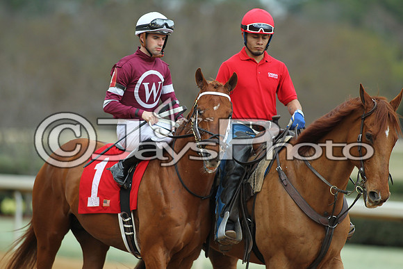 Southwest Stakes (GradeIII) 2-20-17_JWM00124
