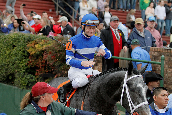 Rebel Stakes 3-15-14 3-15-2014 (© Justin Manning) JWM_0058