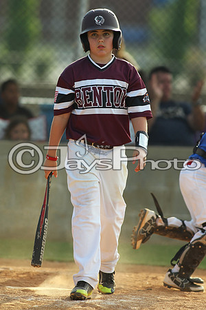 Benton vs. Clark County 6-24-16_JWM_0162