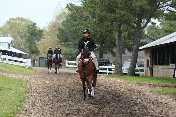 Arkansas Derby 4-11-2014 (© Justin Manning) JWM_0163