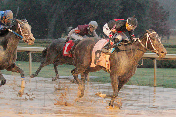 Dixie Belle Stakes 1-10-14 (©Justin Manning) JWM_0097