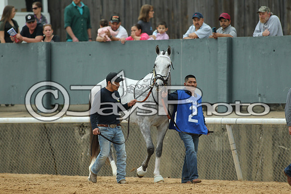 Southwest Stakes (GradeIII) 2-20-17_JWM00400