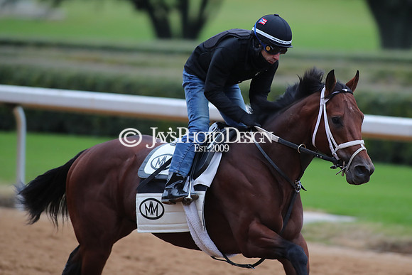 z250104_SmartyJonesStakesDay _JWM_0004