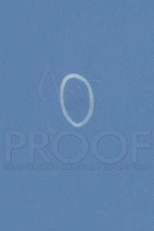 LR Air Show (Blue Angels) 9-9-12 (Justin Manning)0278