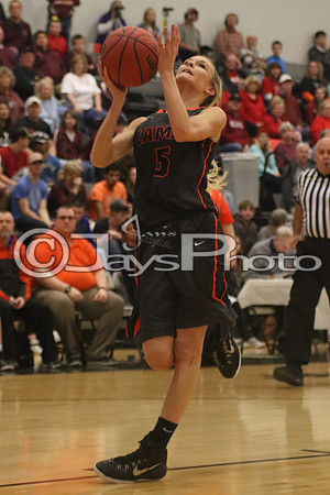 Lamar vs. Perryville Girls 3A State 3-6-2015 (©Justin Manning) JWM_060