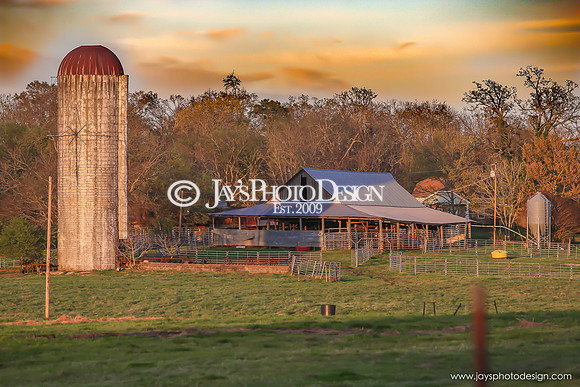 Barns 3-25-20_0122