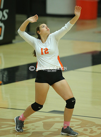 Camden Fairview @ Malvern JV_JWM_0039