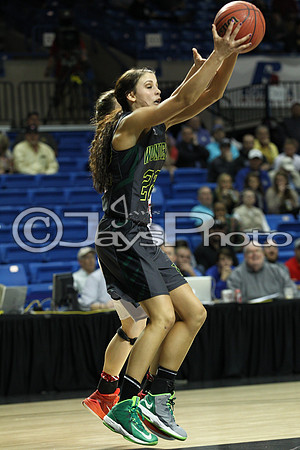 Nemo Vista vs. Wonderview 1A Girls State Finals 3-12-2015 (©Justin Manning) JWM_166